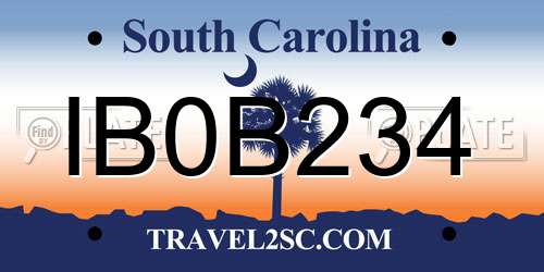 IB0B234 South Carolina License Plate
