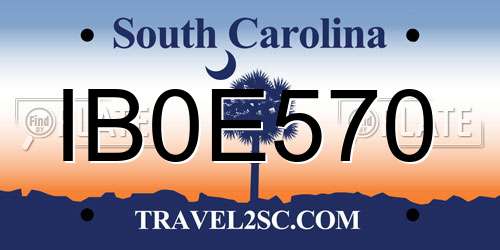 IB0E570 South Carolina License Plate