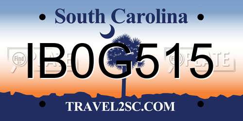 IB0G515 South Carolina License Plate