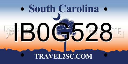 IB0G528 South Carolina License Plate