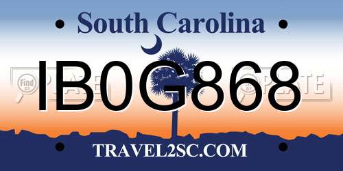 IB0G868 South Carolina License Plate
