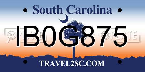 IB0G875 South Carolina License Plate