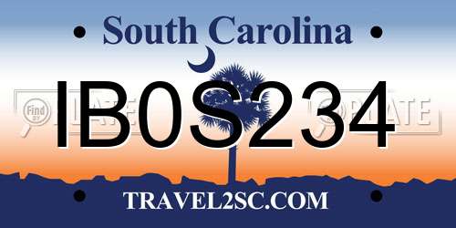 IB0S234 South Carolina License Plate