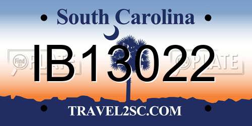 IB13022 South Carolina License Plate