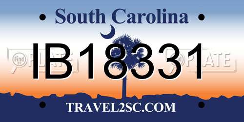 IB18331 South Carolina License Plate