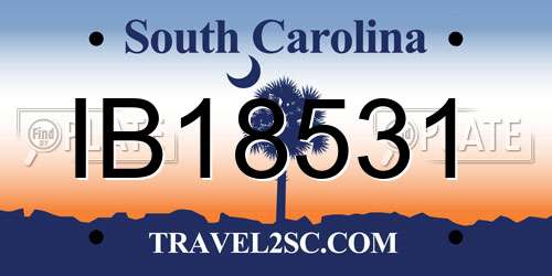 IB18531 South Carolina License Plate