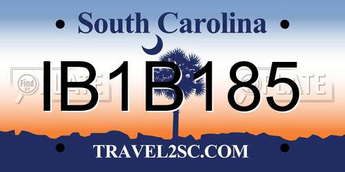 IB1B185 South Carolina License Plate