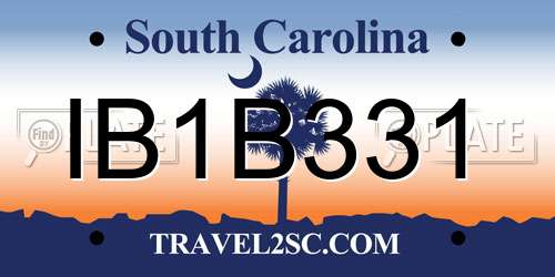 IB1B331 South Carolina License Plate