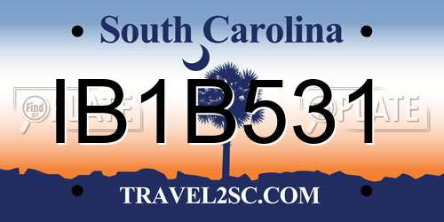IB1B531 South Carolina License Plate