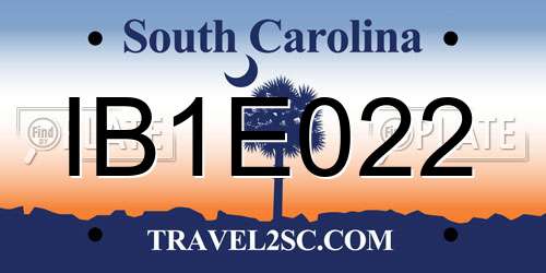 IB1E022 South Carolina License Plate