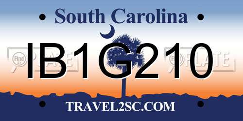 IB1G210 South Carolina License Plate