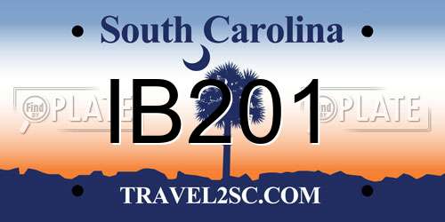 IB201 South Carolina License Plate