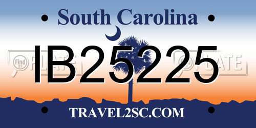IB25225 South Carolina License Plate