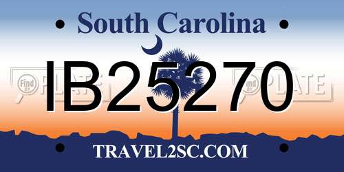 IB25270 South Carolina License Plate
