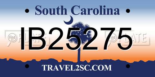 IB25275 South Carolina License Plate
