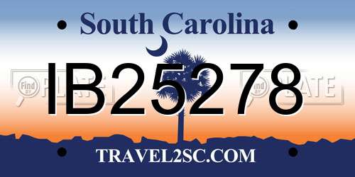 IB25278 South Carolina License Plate