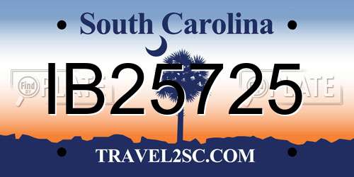 IB25725 South Carolina License Plate