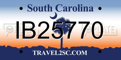 IB25770 South Carolina License Plate