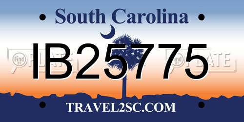 IB25775 South Carolina License Plate