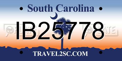 IB25778 South Carolina License Plate
