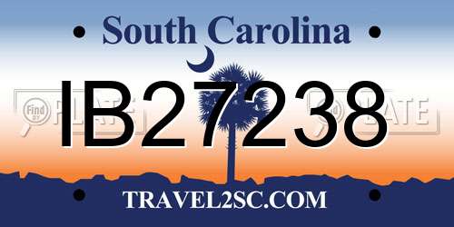 IB27238 South Carolina License Plate