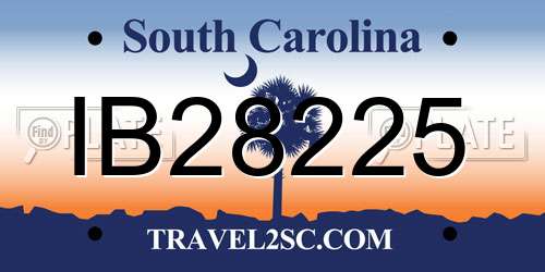 IB28225 South Carolina License Plate
