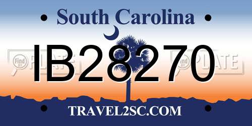 IB28270 South Carolina License Plate