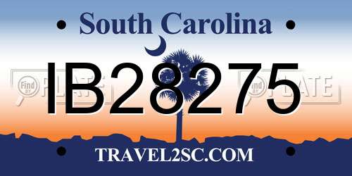 IB28275 South Carolina License Plate