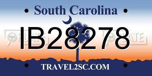 IB28278 South Carolina License Plate
