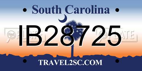 IB28725 South Carolina License Plate