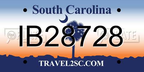 IB28728 South Carolina License Plate