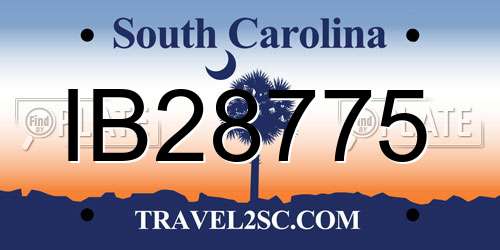 IB28775 South Carolina License Plate