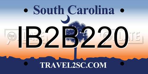IB2B220 South Carolina License Plate