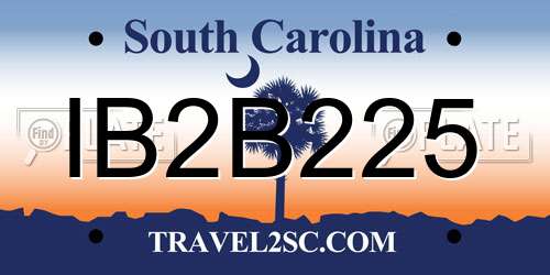 IB2B225 South Carolina License Plate