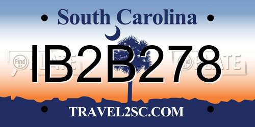 IB2B278 South Carolina License Plate