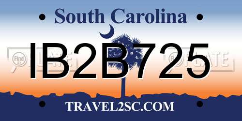 IB2B725 South Carolina License Plate