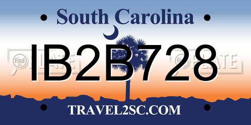 IB2B728 South Carolina License Plate