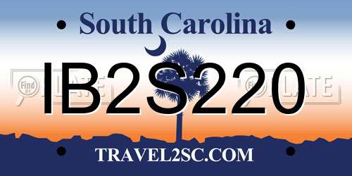 IB2S220 South Carolina License Plate