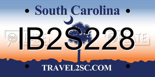 IB2S228 South Carolina License Plate
