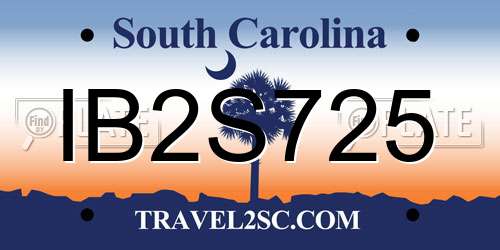 IB2S725 South Carolina License Plate