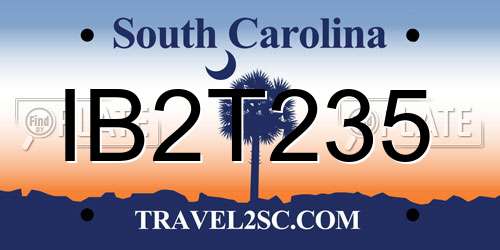 IB2T235 South Carolina License Plate
