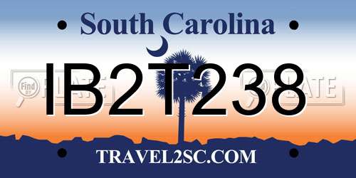 IB2T238 South Carolina License Plate