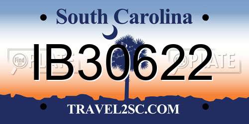 IB30622 South Carolina License Plate
