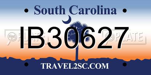 IB30627 South Carolina License Plate