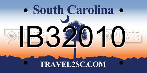 IB32010 South Carolina License Plate
