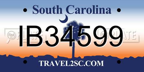 IB34599 South Carolina License Plate