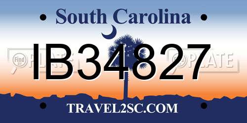 IB34827 South Carolina License Plate