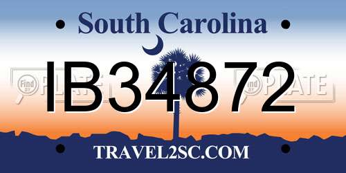 IB34872 South Carolina License Plate