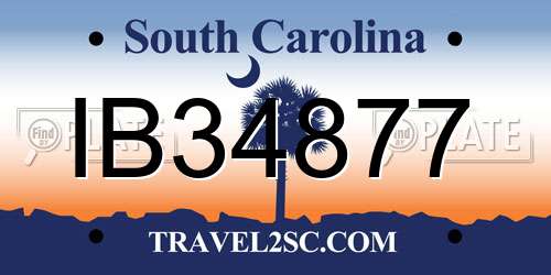 IB34877 South Carolina License Plate