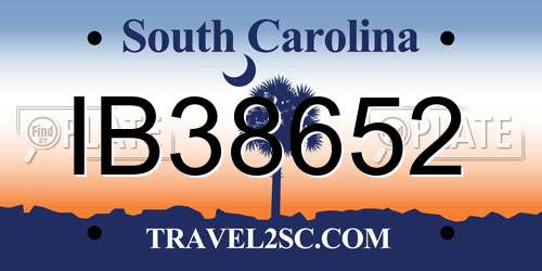 IB38652 South Carolina License Plate